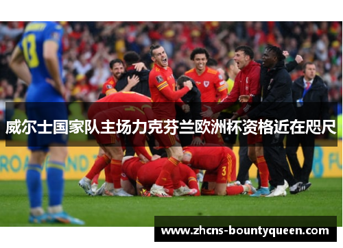 威尔士国家队主场力克芬兰欧洲杯资格近在咫尺
