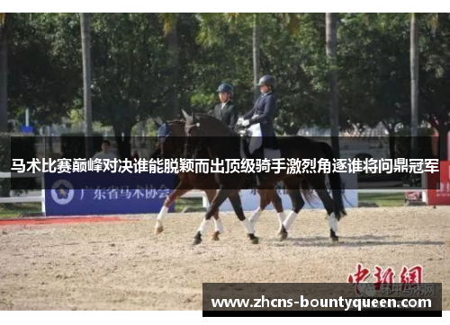 马术比赛巅峰对决谁能脱颖而出顶级骑手激烈角逐谁将问鼎冠军